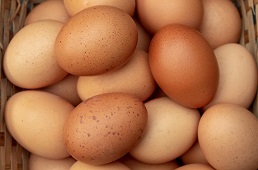 a-basket-of-eggs6017c01646349.jpg