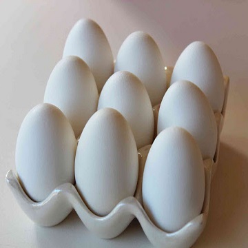 Egg Product 2
